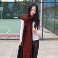 Pretty Leopard Print Scarves Wrap Women Winter Warm Cashmere Panties 195*70CM - Red