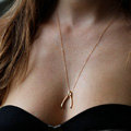 Hot sale High quality Fashion Women Metal Wish bone Gold-plated Necklace Clavicle Chain