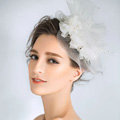 European Princess Pearl Crystal Gauze Bridal Fascinator Hair Accessories Wedding Dress Prom Large Hat Face Veils