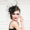 Luxury European Black Birdcage Bridal Flower Feathers Fascinator Hair Hoop Bride Wedding Prom Hats Face Veils