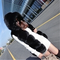 Unique Cute Elegant Faux Fox Fur Vest Fashion Women Overcoat - Black